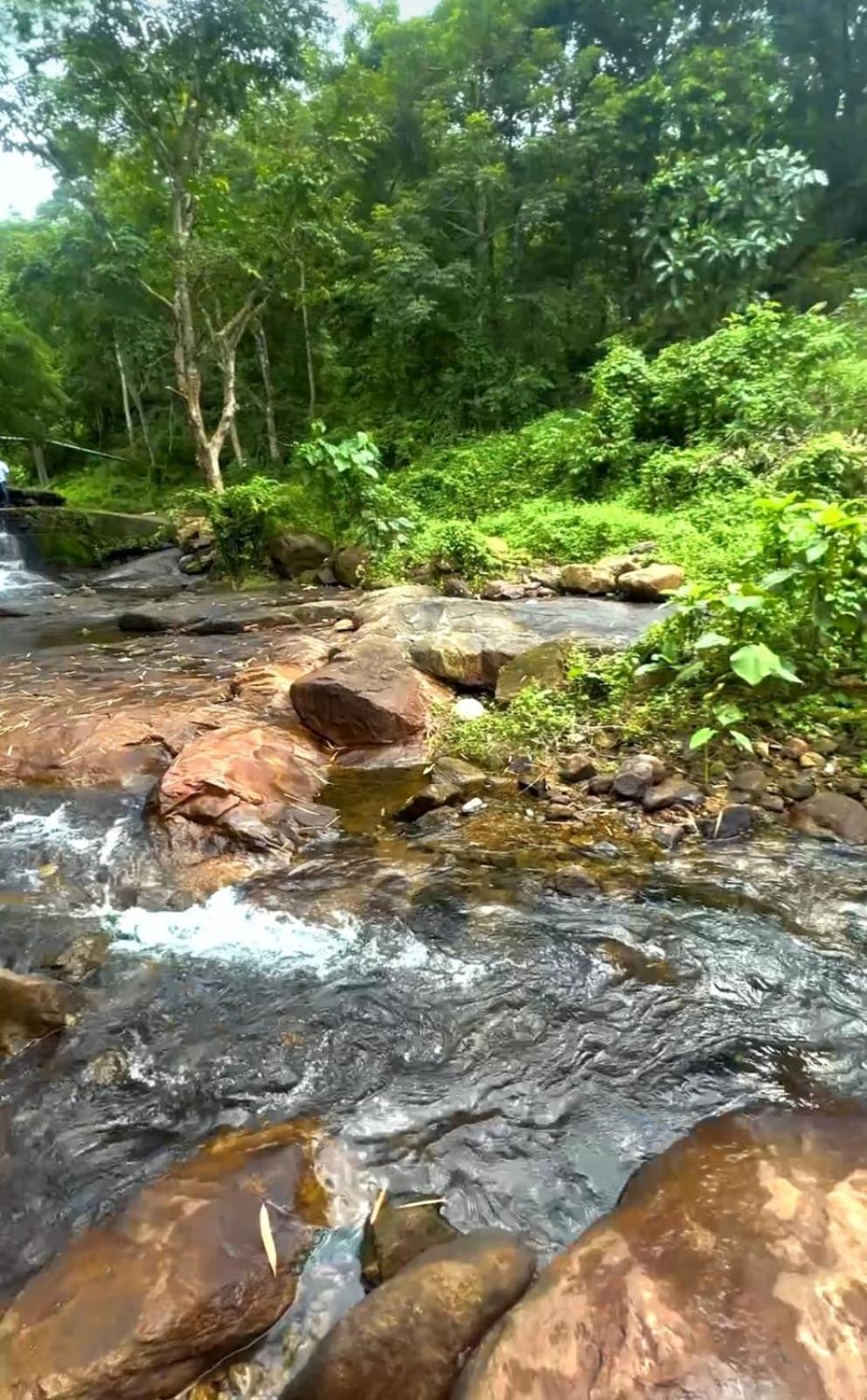 Nest Resorts Athirappilly Luaran gambar