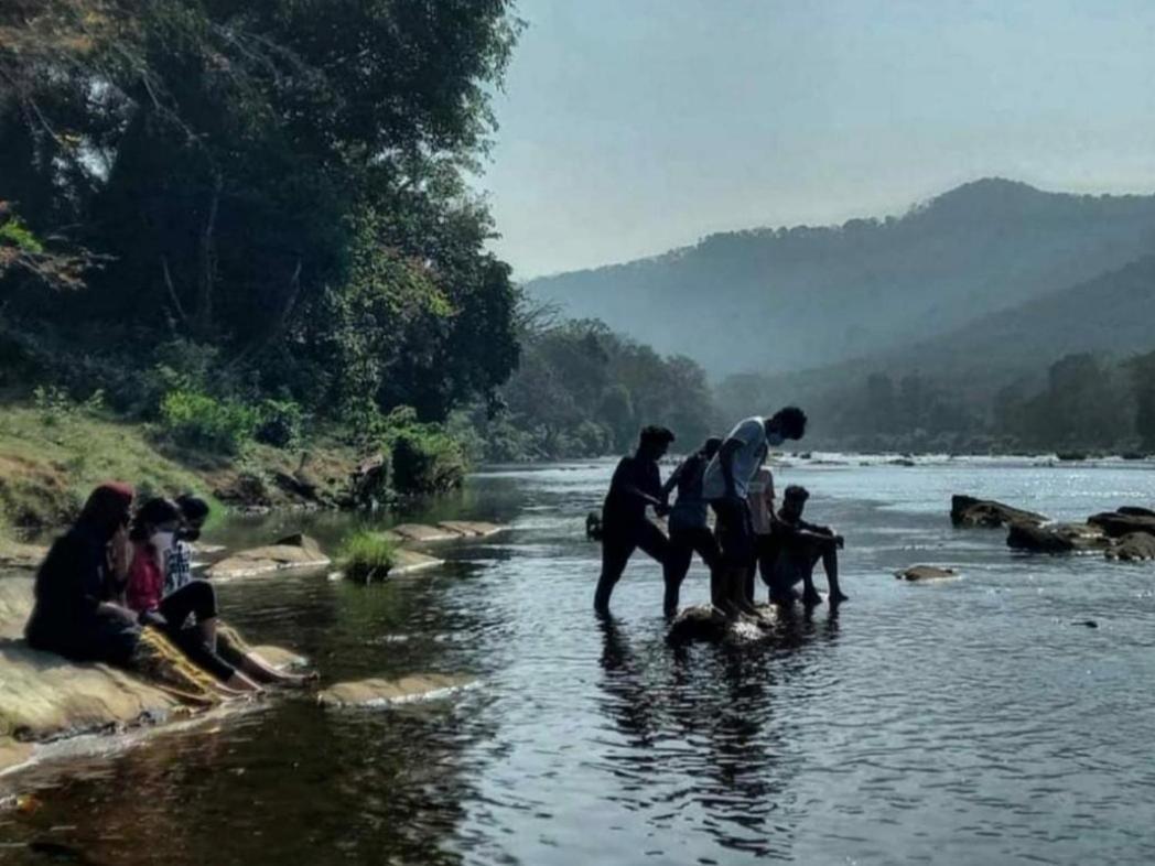 Nest Resorts Athirappilly Luaran gambar