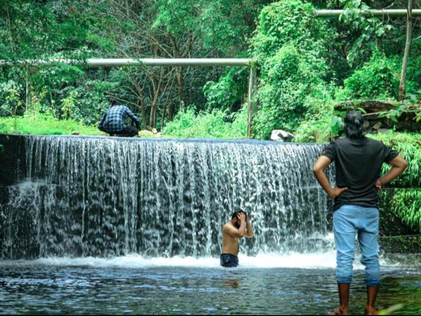 Nest Resorts Athirappilly Luaran gambar