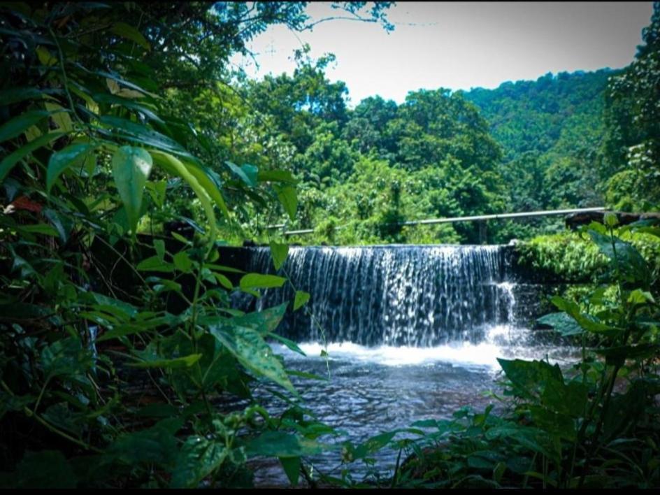 Nest Resorts Athirappilly Luaran gambar